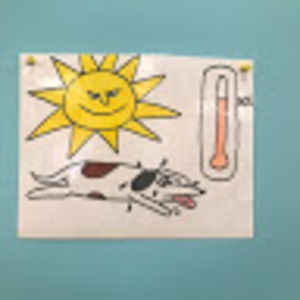 Meet your Posher, Leena